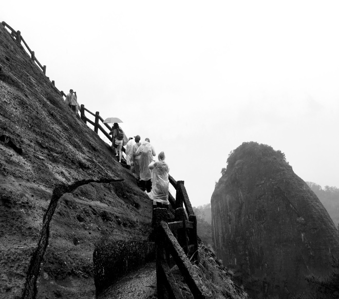 武夷山之旅